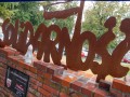  dsc5336