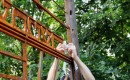 22.07.2026   marsz pamieci